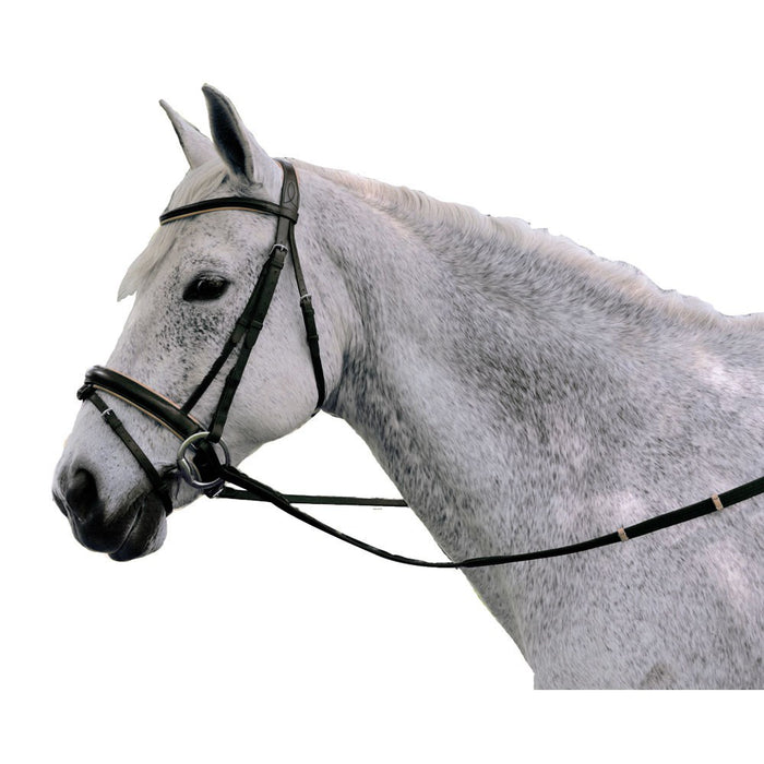 Exselle Elite Plain Raised Padded Bridle - Black & Tan/Oversize